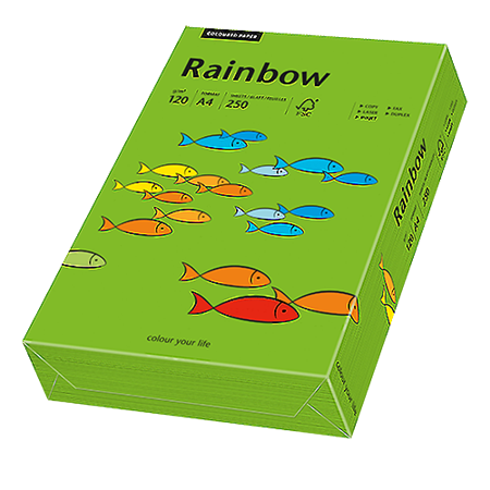 Färgat papper Rainbow A4 120 g intensivgrön 250/fp