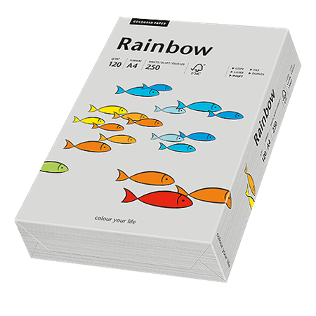 Färgat papper Rainbow A4 120 g grå 250/fp
