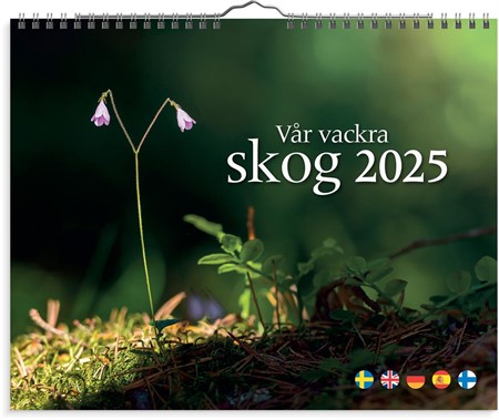 Väggkalender Vår vackra skog 2025