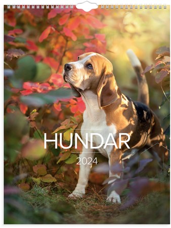 Väggkalender 2024 Stora Hundkalendern