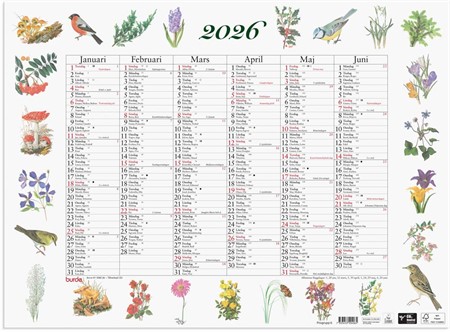 Väggkalender 2026 Stora Naturalmanackan